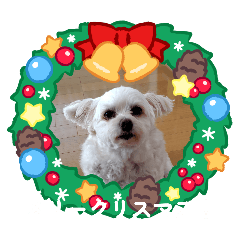 Chie_20251222130656