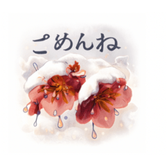 zunchi_20251221081413