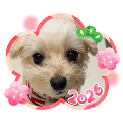 YOTSUTAK_20251221102924