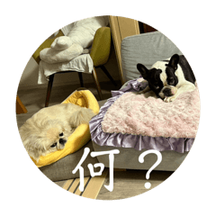 Haruandtumugi_20251221231046