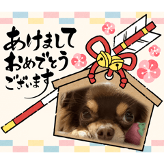 JUKIpon_20251222043348