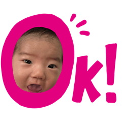 seina_20251222121334