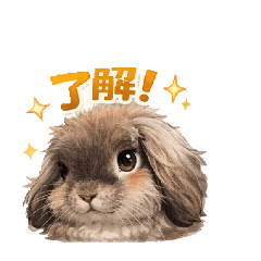 bontenmaru_20251221111325