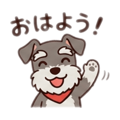 kyazuman_20251222010259