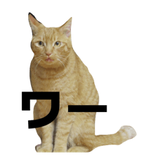 hacchi_20251222010239