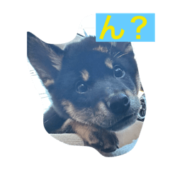 hayaken_20251222101105