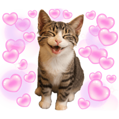 cat&tarou