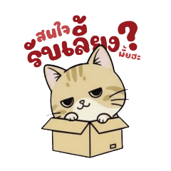 Porpaer & plame_20251220132340