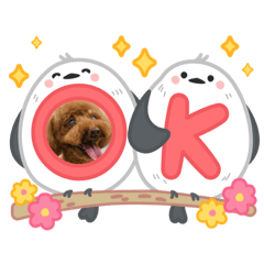 jack sasuke poos_20251222134229