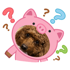 enjoy_20251222022404