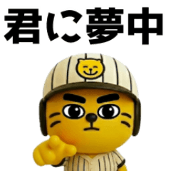 目ヂカラ強め｜関西の虎さん15