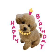 CHACHA MARU stickers for daily