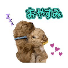 naoyumi_20251221205141