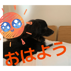 komsubi_20251221204528