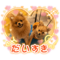 maron &coco_20251222092451