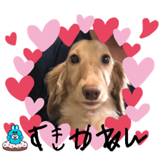 Ryoeritty_20251222091802