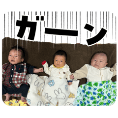 Miyamo10_20251222143116