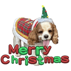 Kazukazucchi_20251222143935