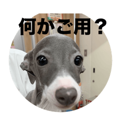 Lauro life_20251222143211