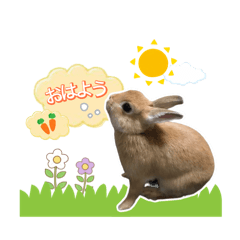 Natsumi_20251222143915