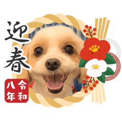 CoCo-Natsu_20251222145348