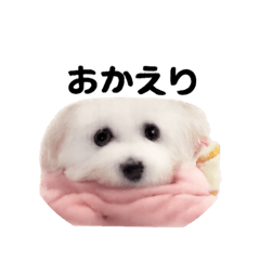 EVENT_20251221214302