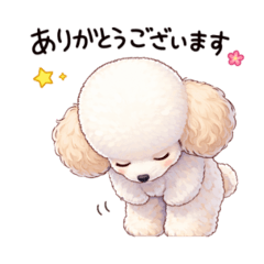 minami_20251221212906