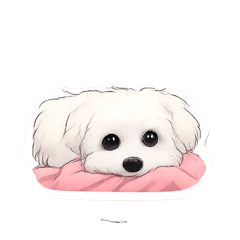 EVENT_20251221214814