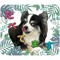 Fofofo_20251220123608