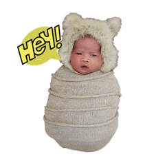 Guide_20251221221024