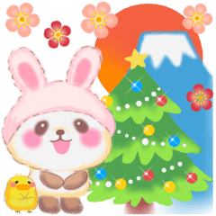 Baby rabbit Panda all year round