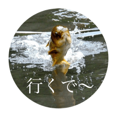 mitsuo_20251222105908