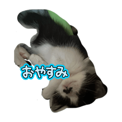 MINAMI_20251220125224