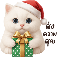 White Cat: Happy New Year