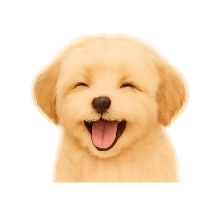 POEPOEZ_20251221232556