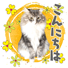 Bon&Guri's greeting.