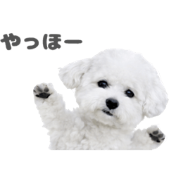 micha._20251222013234