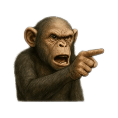 Angry Face Chimpanzees