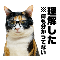 Keiko .H_20251222024224