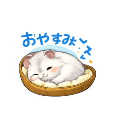 EVENT_20251222065449