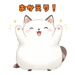 A soothing raccoon cat