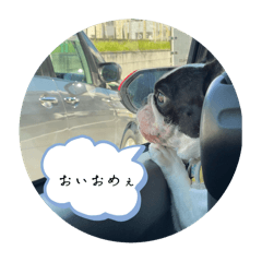 Haruandtumugi_20251222131239