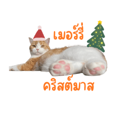 triple P_20251222113856