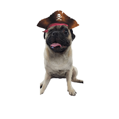 tintin_meme_20251222113717