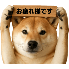 nok3_inu