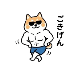 Macho Shiba (Sunglasses)Daily Stickers
