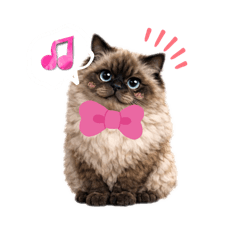 Yukiko_20251222132439