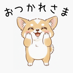 Fluffy Chihuahua: Healing Days