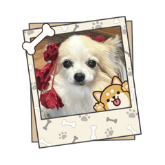 Asaka_20251222141922