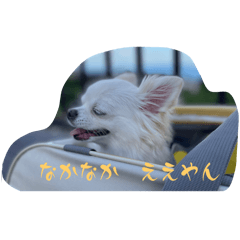 akina_20251222152816